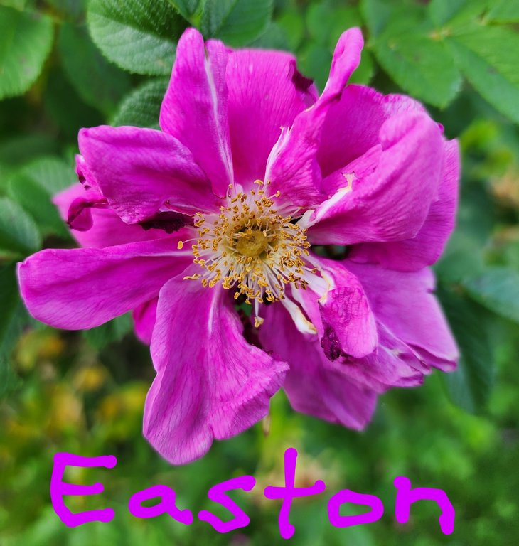 Placeholder Image 5